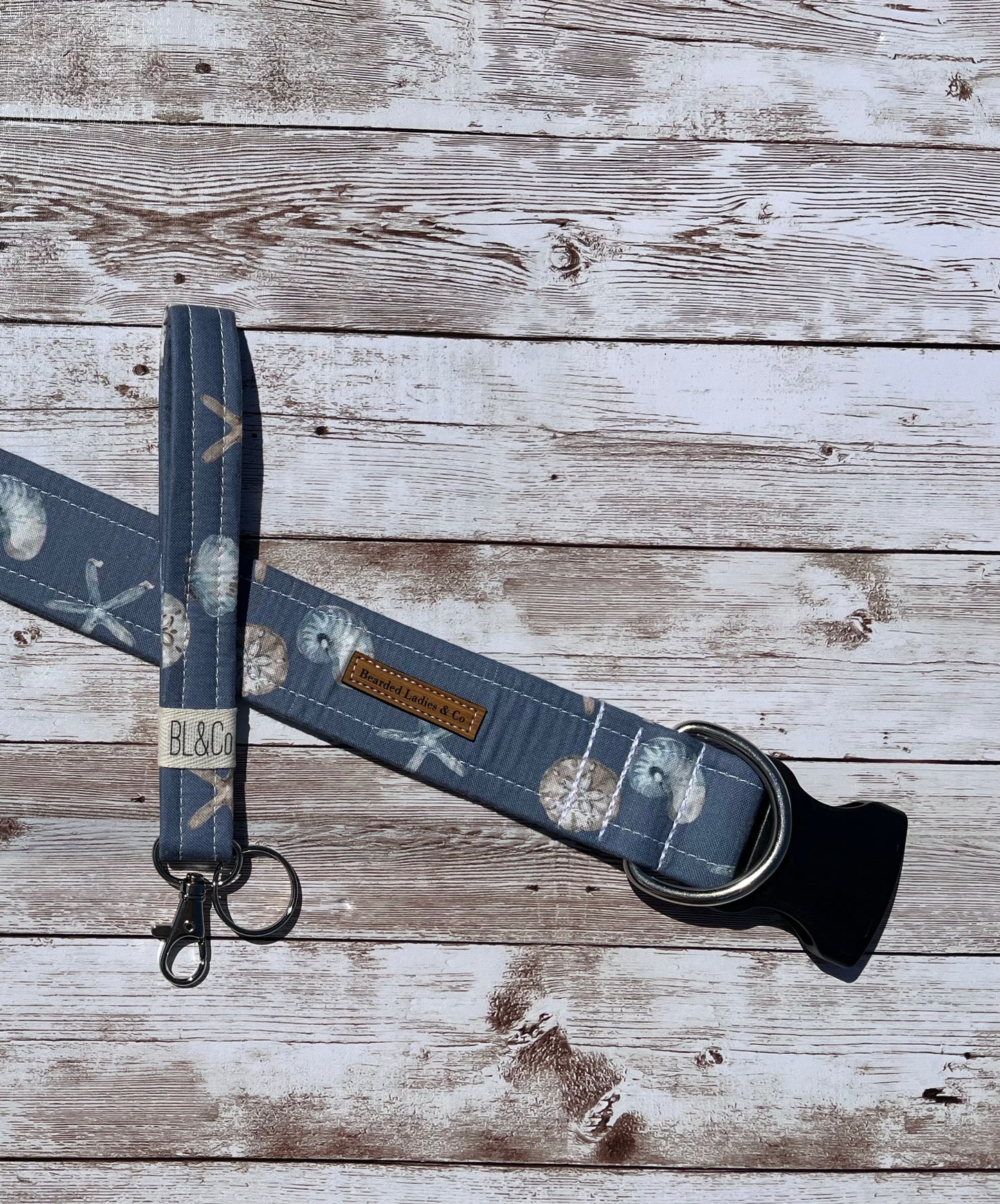 Sand Dollar + Seashell Dog Collar