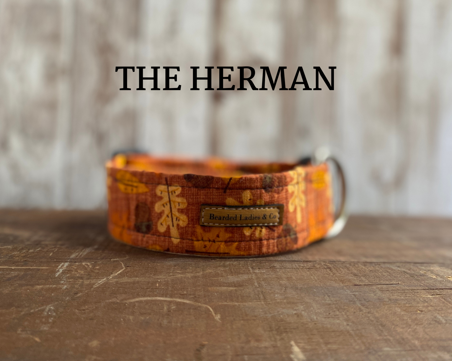 Leaves + Acorns Fall Dog Collar