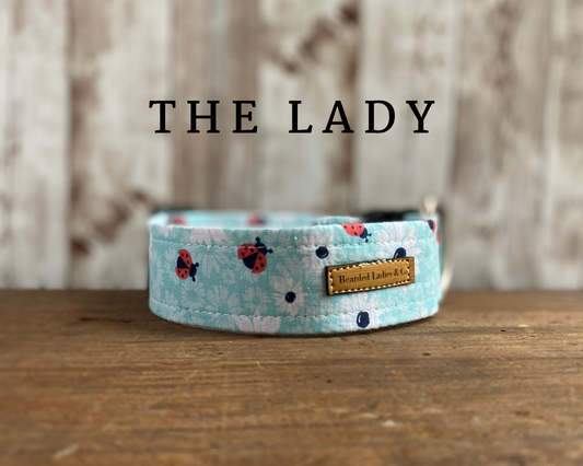 Light Blue with Mini Flowers + Ladybugs Dog Collar*