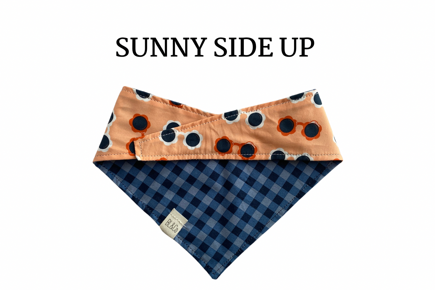 Sunglasses & Blue Plaid Reversible Tie/On Bandana