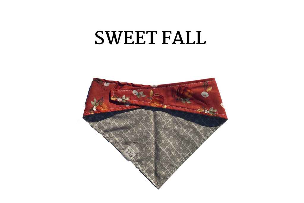 Plump Pumpkins & Flowers + Gray Stars Reversible Tie/On Bandana