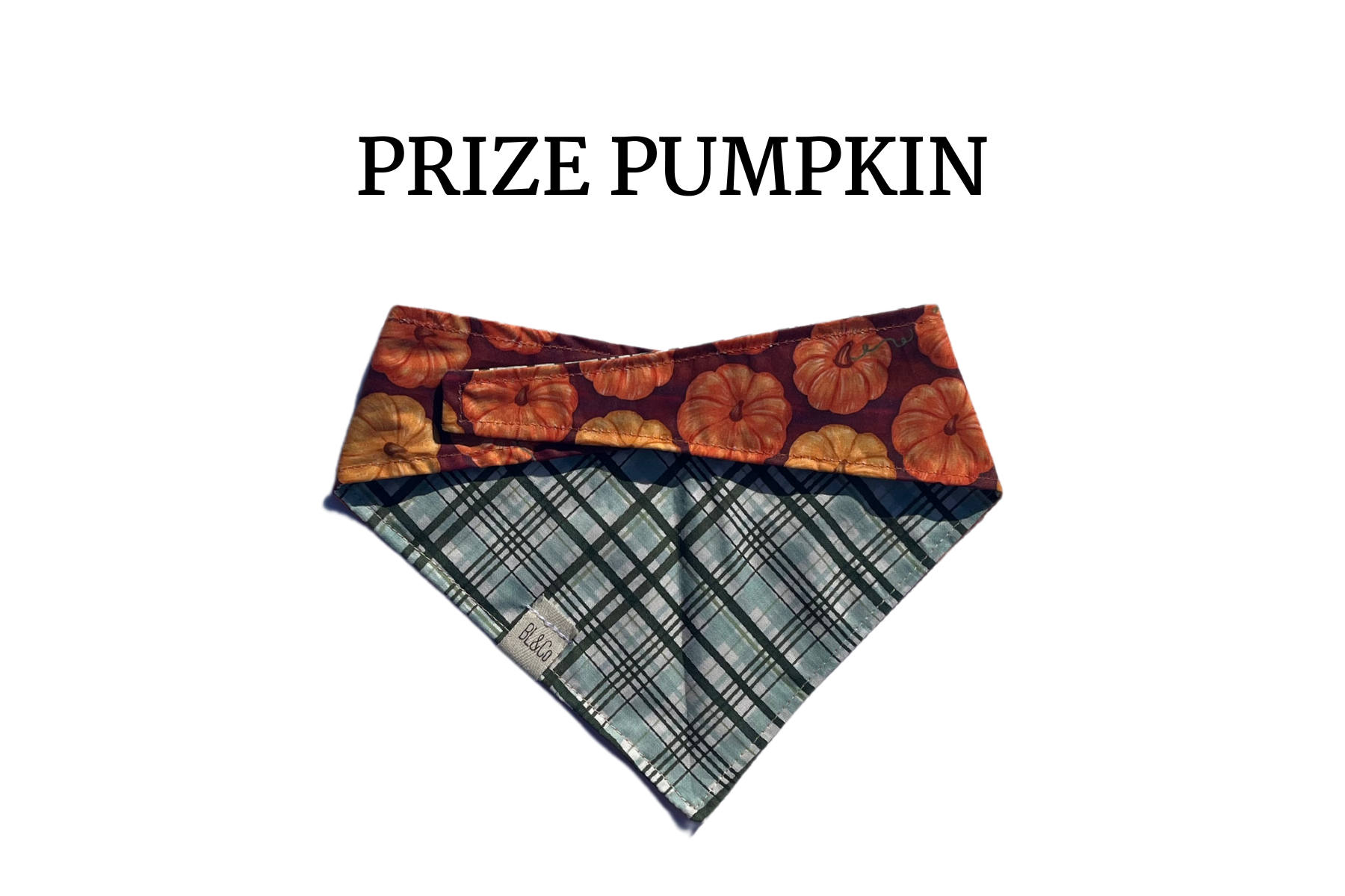 Pumpkins + Green Plaid Reversible Tie/On Bandana
