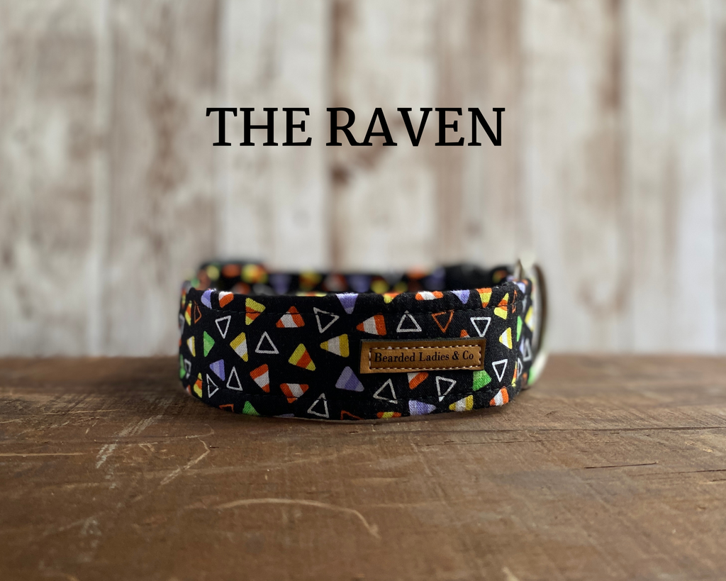 Festive Halloween Candy Corn Dog Collar