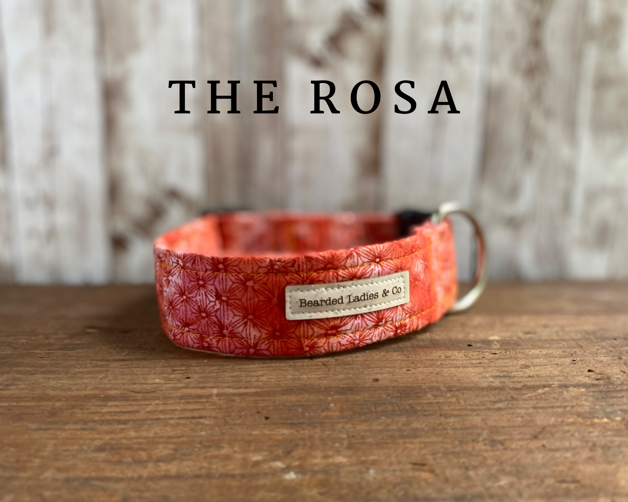 Orange & Red Ombré Dog Collar