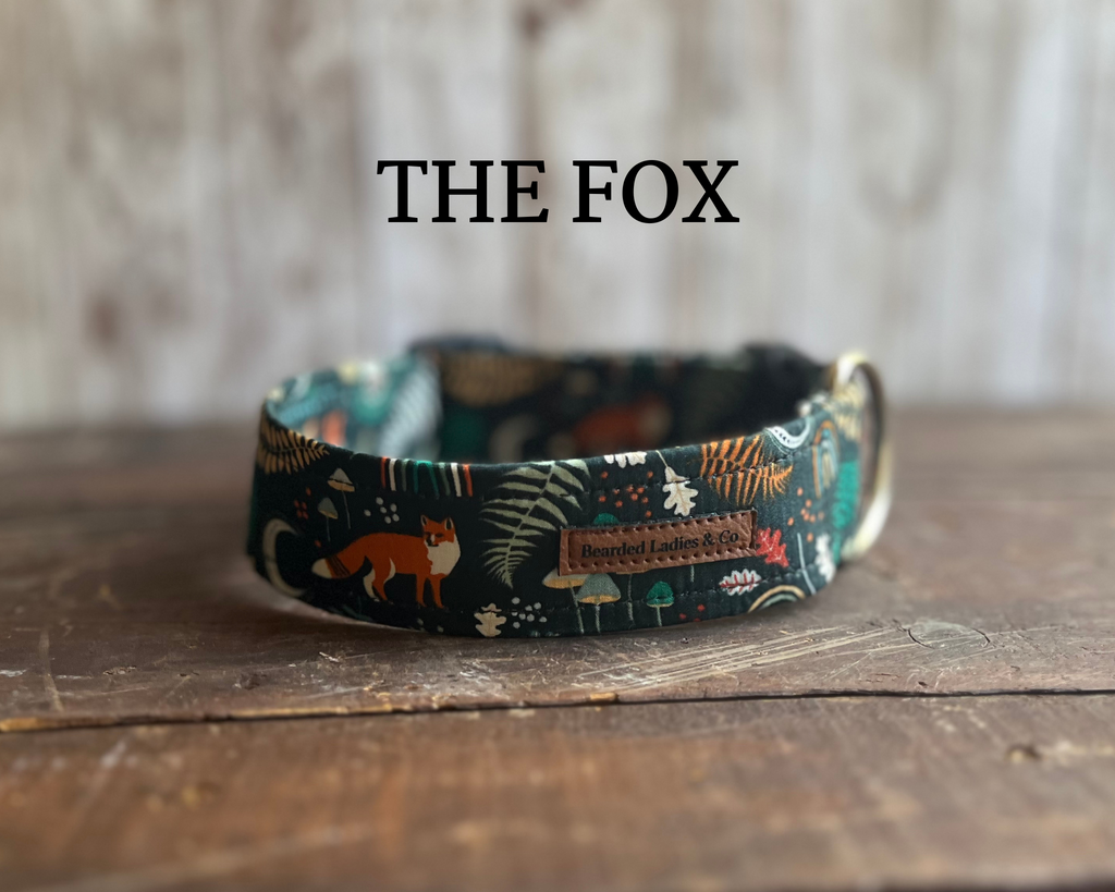 Fox + Fern Dog Collar [The Fox]