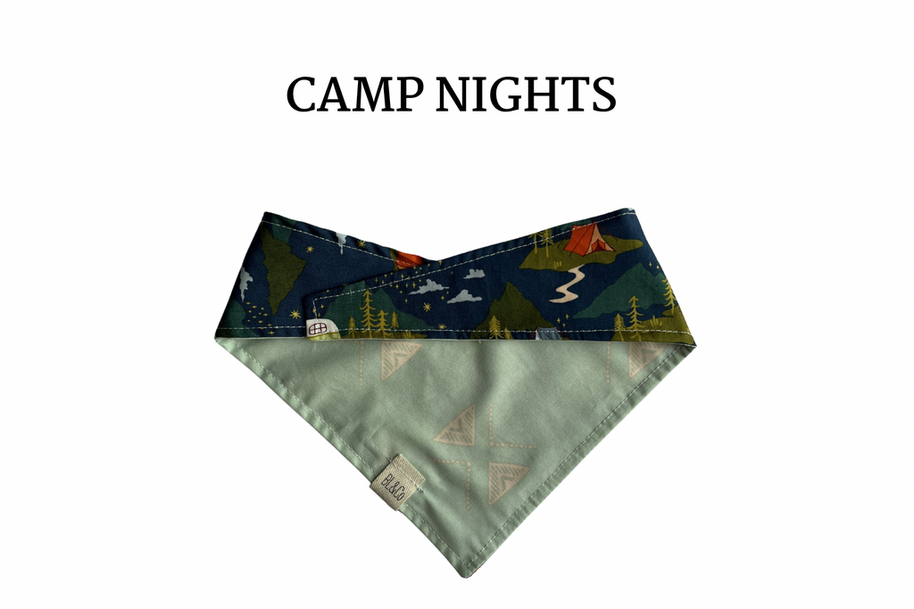 Camping under the stars + Mint with Cream Tribal Reversible Tie/On Bandana [Camp Nights]