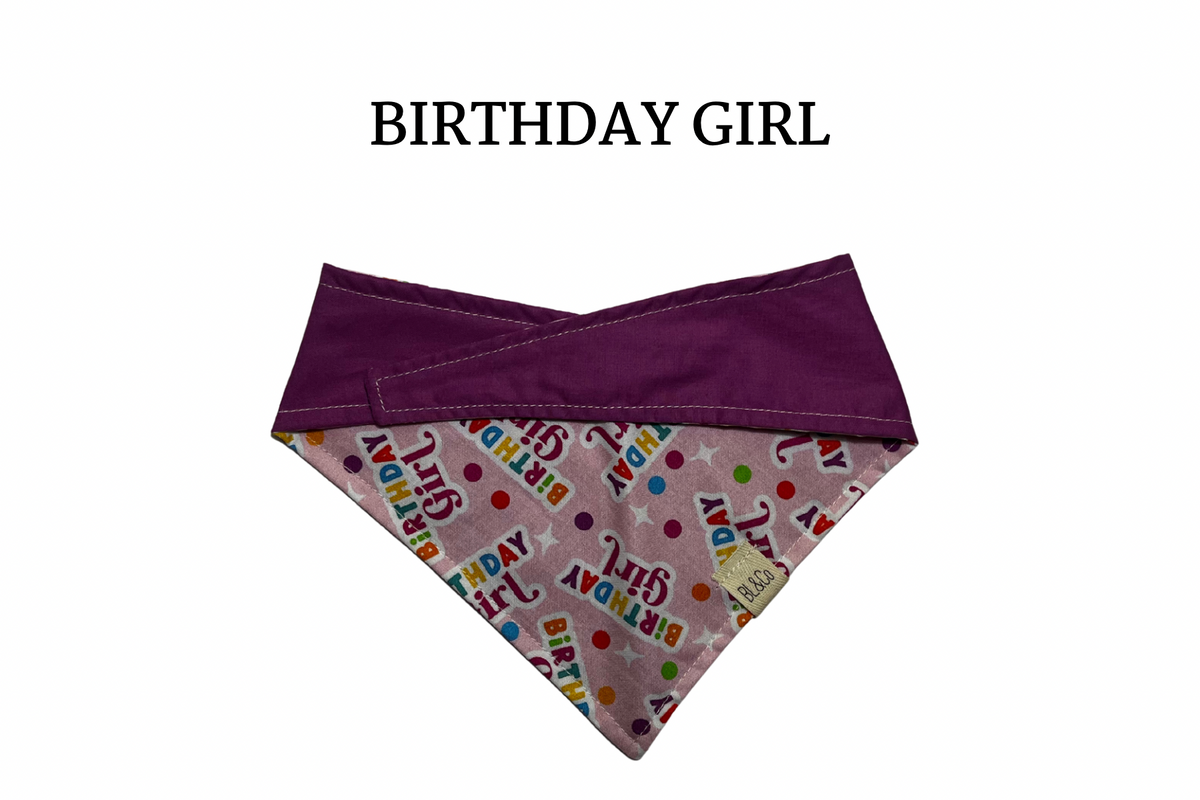 Birthday Girl Reversible Tie/On Bandana