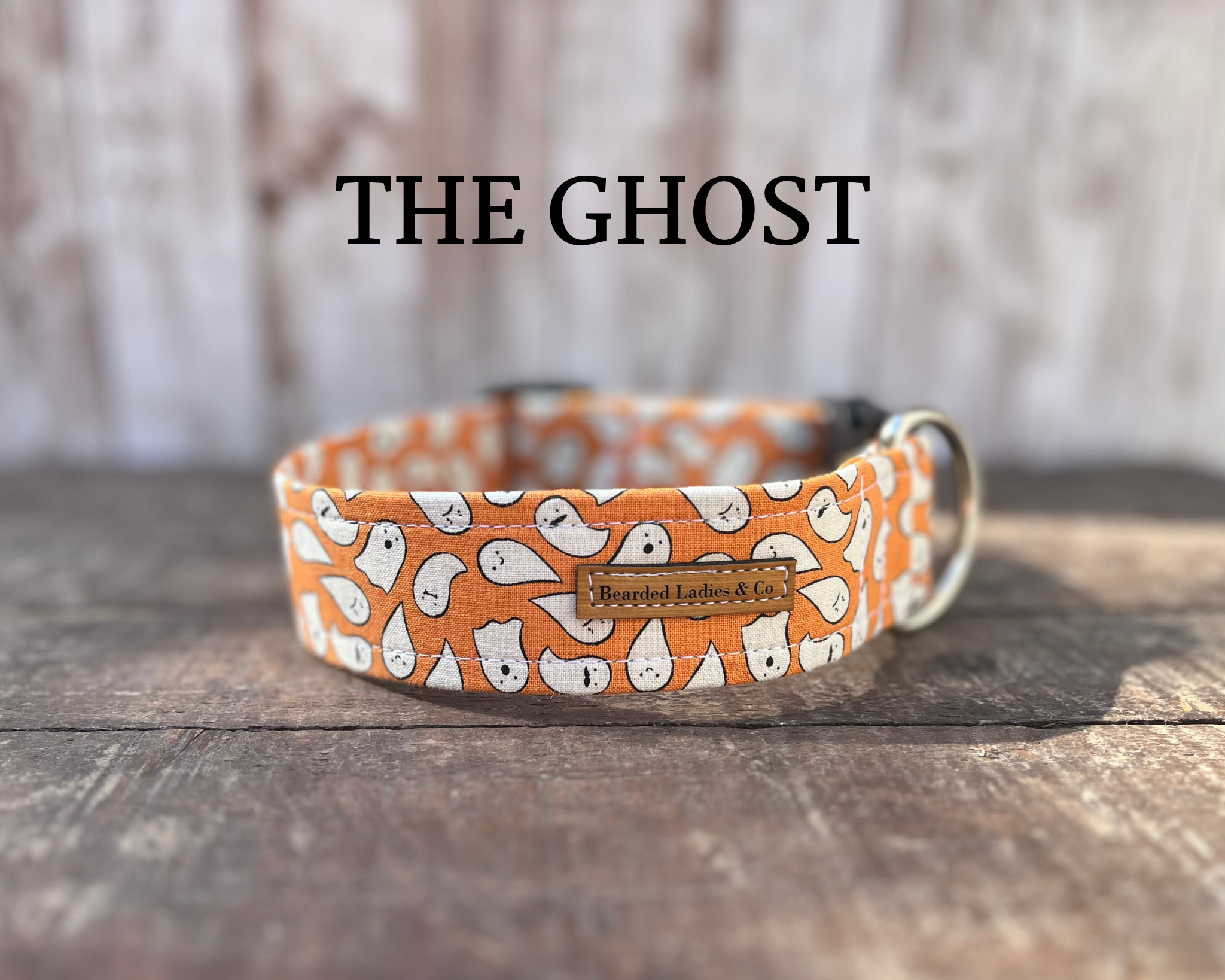 Floating Ghosts on Orange Dog Collar