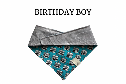 Birthday Boy Reversible Tie/On Bandana