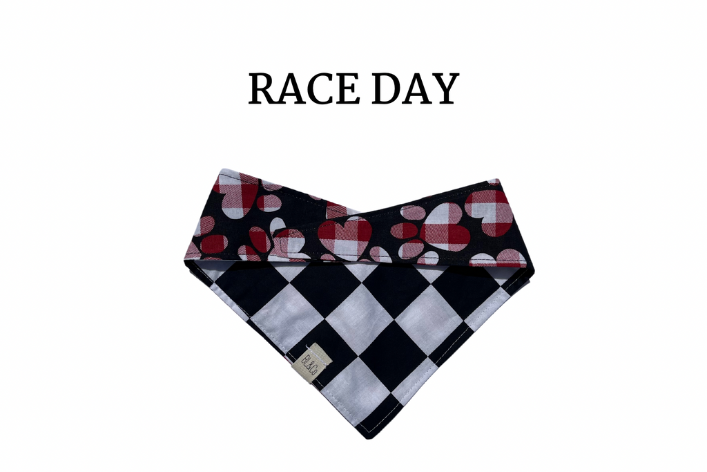 Black & White Checks + Checkered Paw Prints Reversible Tie/On Bandana