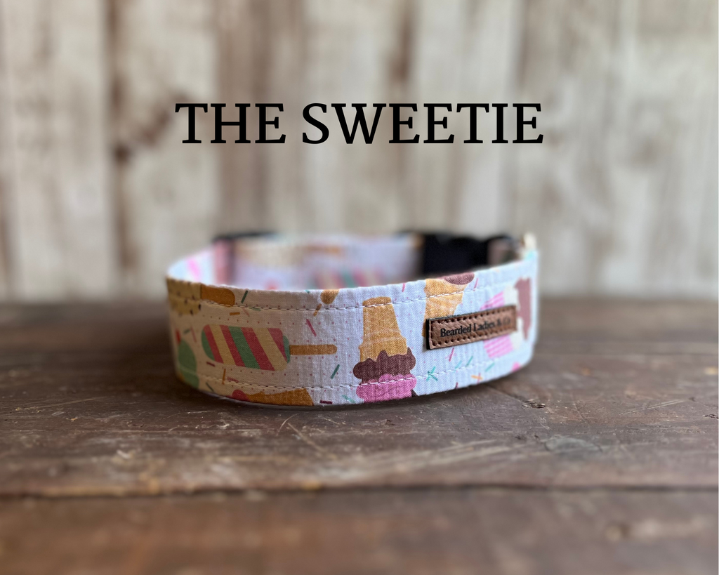Ice Cream & Sprinkles Dog Collar [The Sweetie]