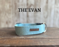 Aqua with Teal Lines Dog Collar