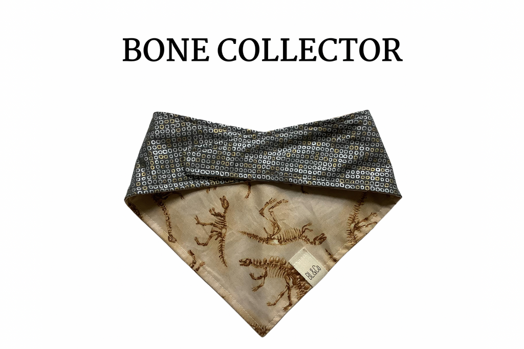 Dinosaurs & Metallic Silver Reversible Tie/On Bandana