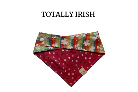Petite Hearts + Shamrocks on Rainbow Reversible Tie/On Bandana