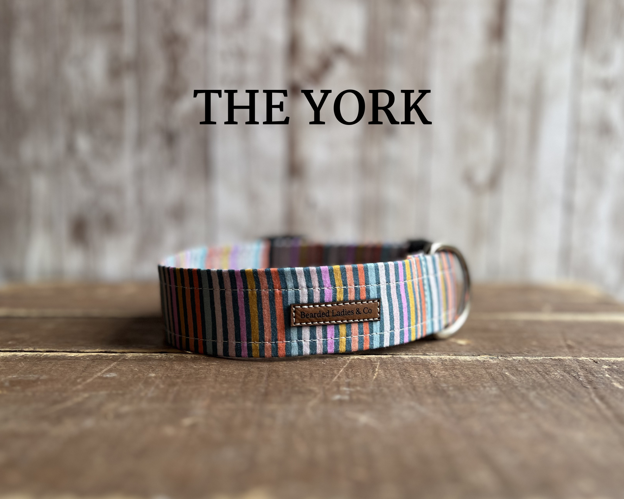 Vibrant Multicolored Stripes Dog Collar [The York]