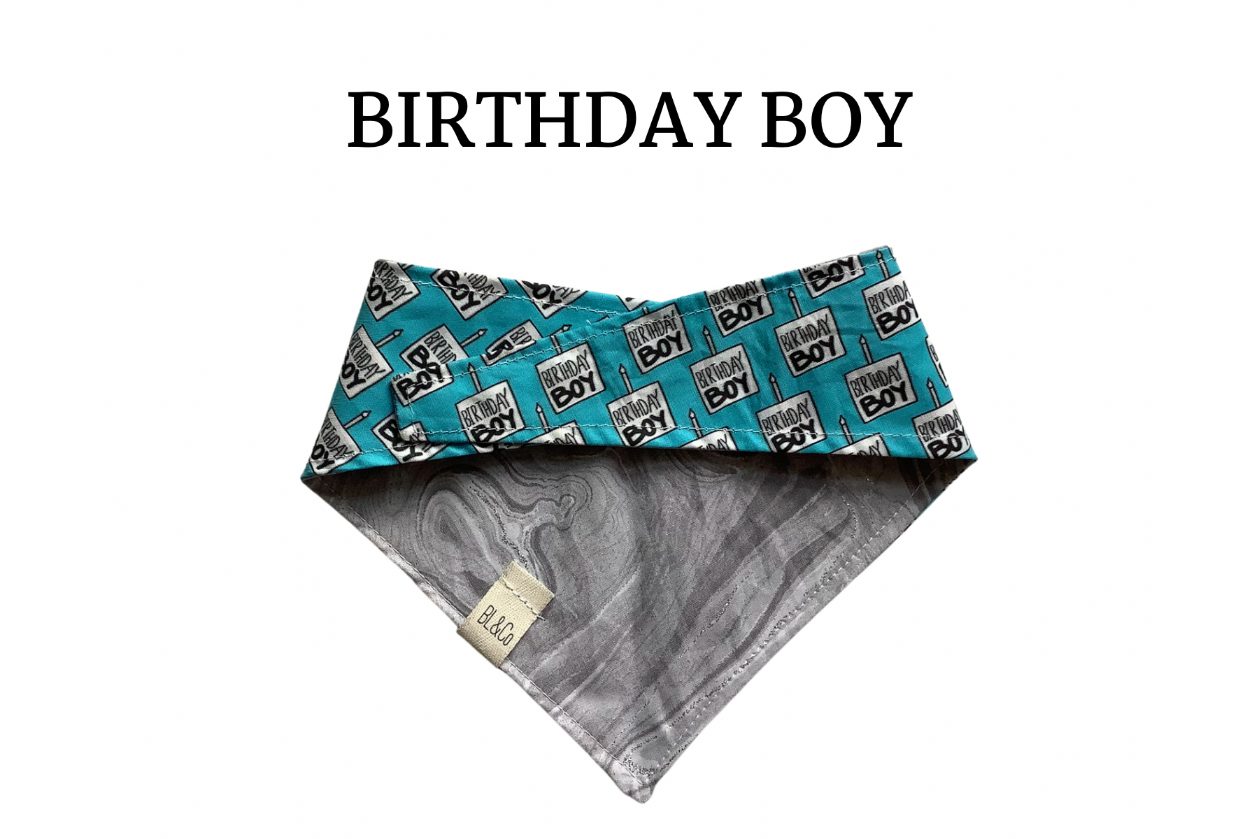 Birthday Boy Reversible Tie/On Bandana