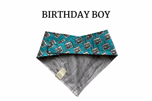 Birthday Boy Reversible Tie/On Bandana