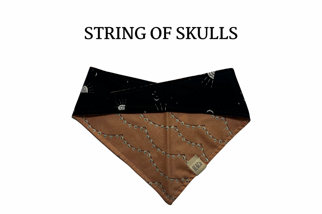 Strings of Skulls + Stars and Rainbows Reversible Tie/On Bandana