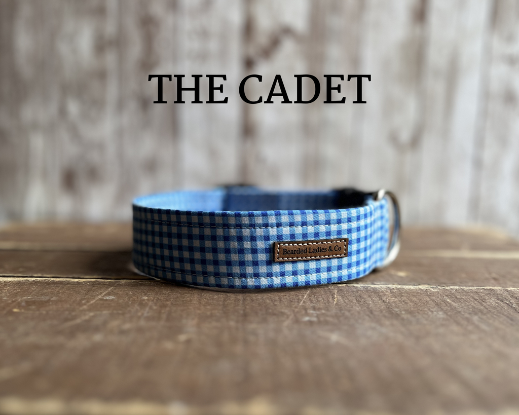 Small Blue + White Checkered Dog Collar [The Cadet]