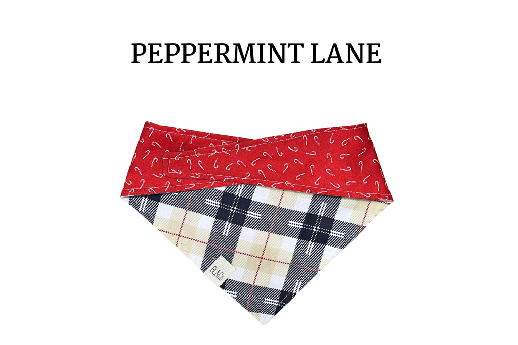 Cream & Navy Plaid + White Candy Canes on Red Reversible Tie/On Bandana