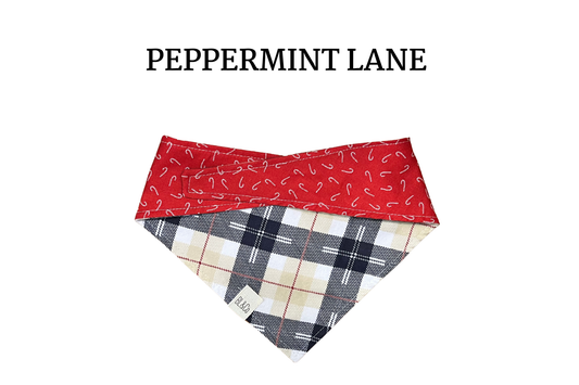 Cream & Navy Plaid + White Candy Canes on Red Reversible Tie/On Bandana