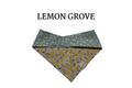 Neutral Lemons + Mint Polka Dot Reversible Tie/On Bandana