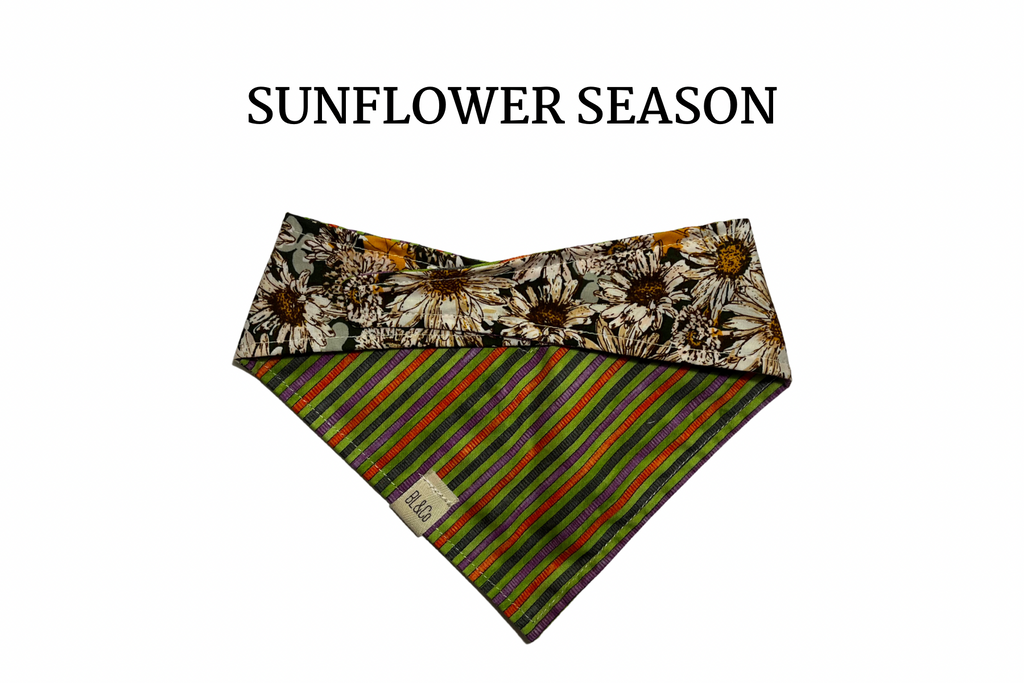 Sunflowers + Orange, Black and Purple Stripe Reversible Tie/On Bandana
