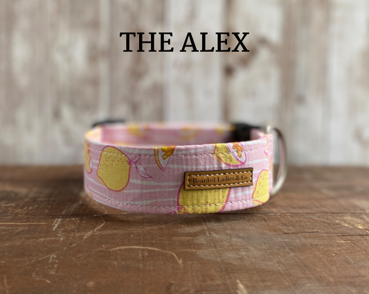 Vibrant Lemon Slices on Pink Dog Collar*