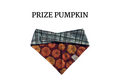 Pumpkins + Green Plaid Reversible Tie/On Bandana