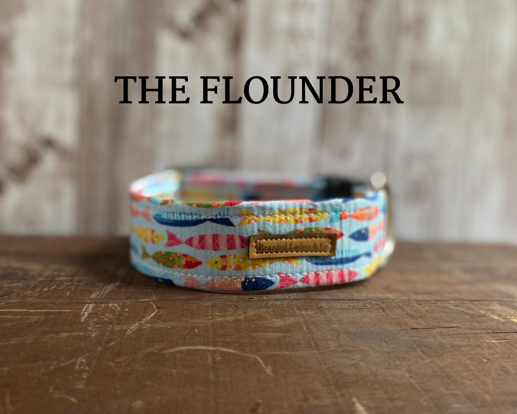 Tropical Fish Dog Collar [The Flounder]