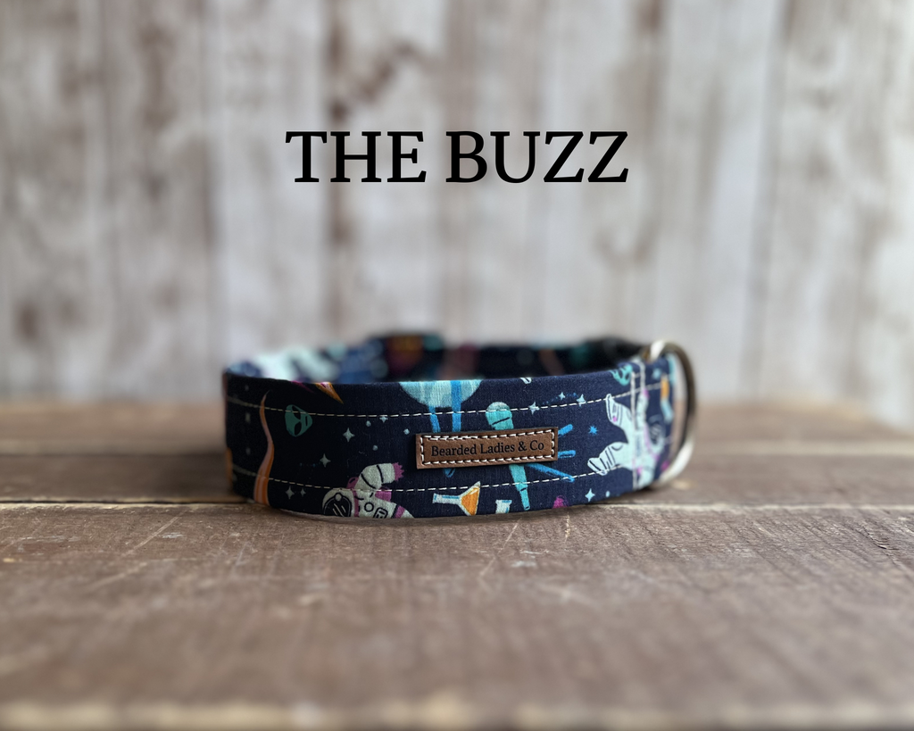 Asteroids, Astronauts + Rockets Dog Collar [The Buzz]