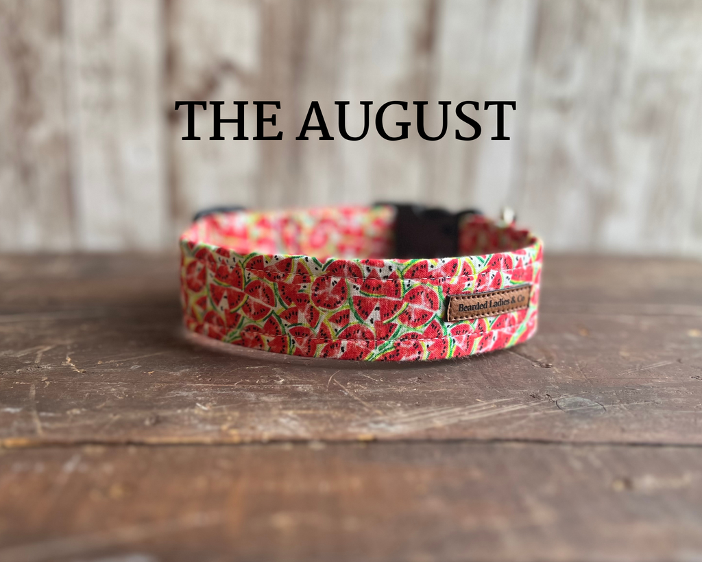 Tossed Watermelons Dog Collar