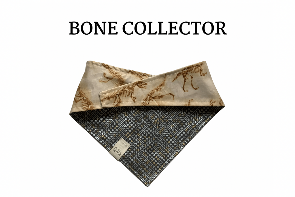 Dinosaurs & Metallic Silver Reversible Tie/On Bandana