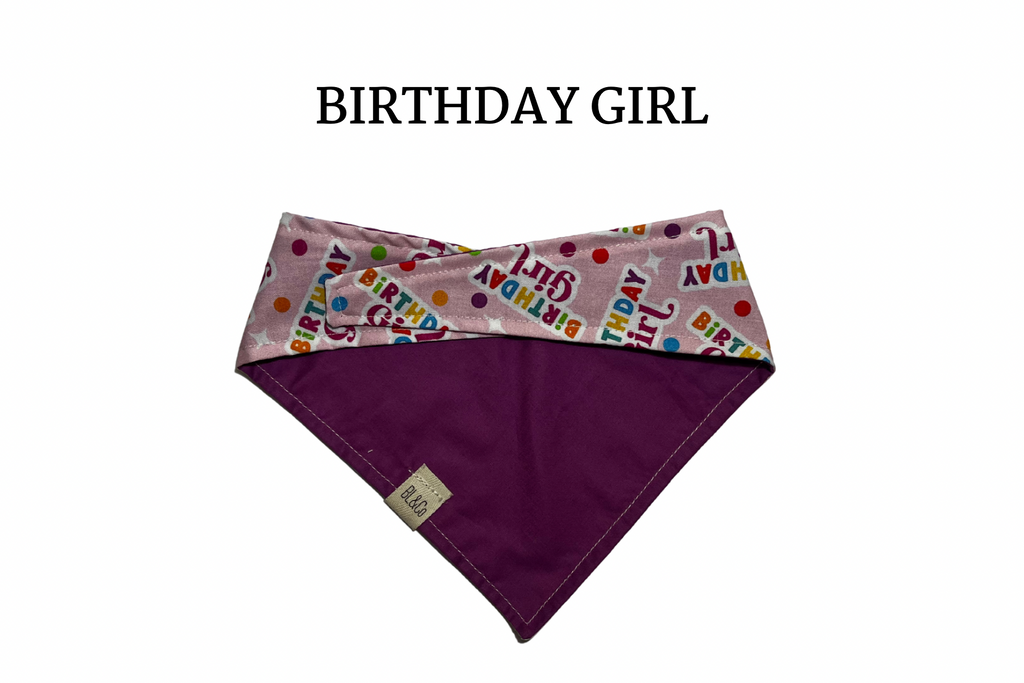 Birthday Girl Reversible Tie/On Bandana