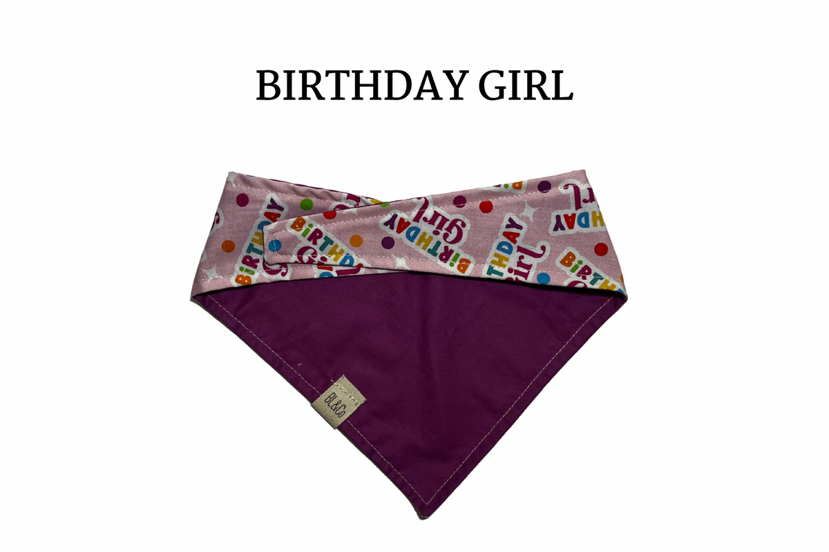 Birthday Girl Reversible Tie/On Bandana