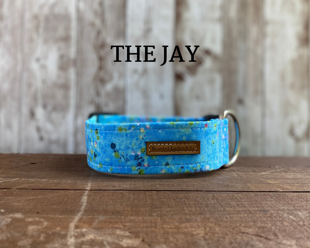 Bright Blue Speckled Dog Collar