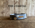 Sand Dollar + Seashell Dog Collar