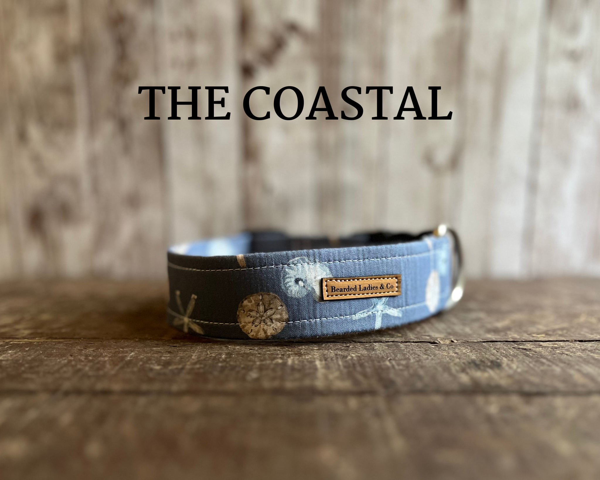 Sand Dollar + Seashell Dog Collar