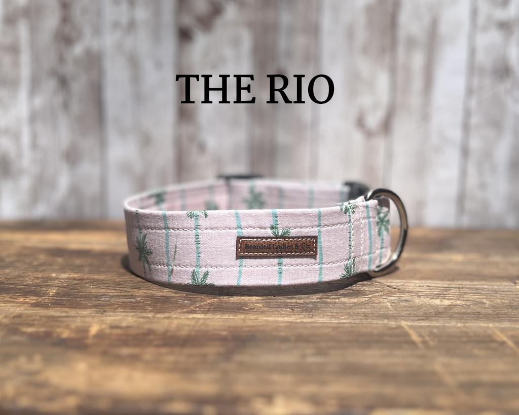 Green Palm Trees on Light Pink Dog Collar [The Rio]