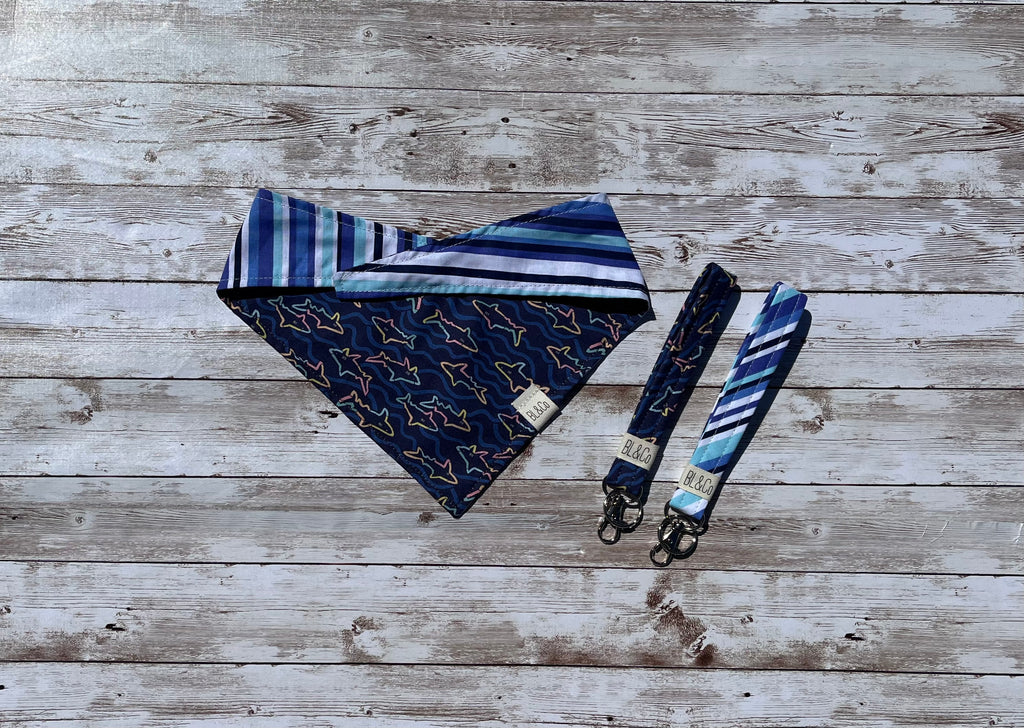 Colorful Sharks Dog Collar