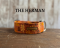 Leaves + Acorns Fall Dog Collar