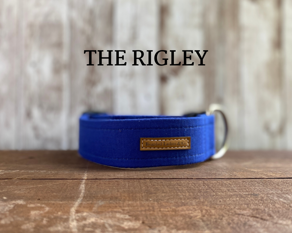 Royal Blue Dog Collar