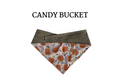 Pumpkin Buckets + Sage Green Reversible Tie/On Bandana