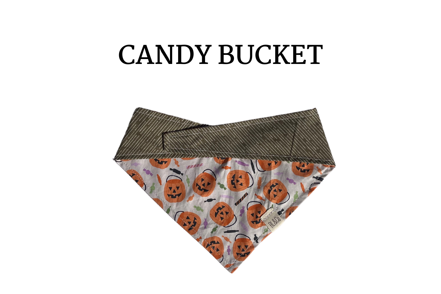 Pumpkin Buckets + Sage Green Reversible Tie/On Bandana