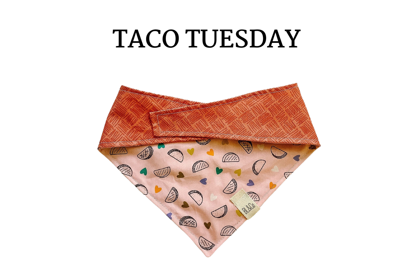 Mini Hearts with Tacos & Coral Reversible Tie/On Bandana