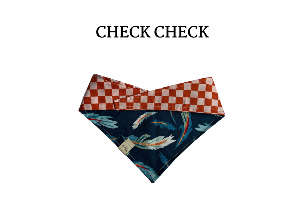 Orange Check + Floating Feathers Reversible Tie/On Bandana