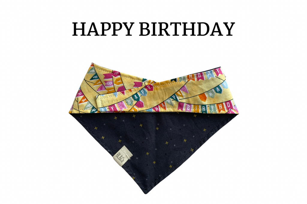 Happy Birthday Reversible Tie/On Bandana
