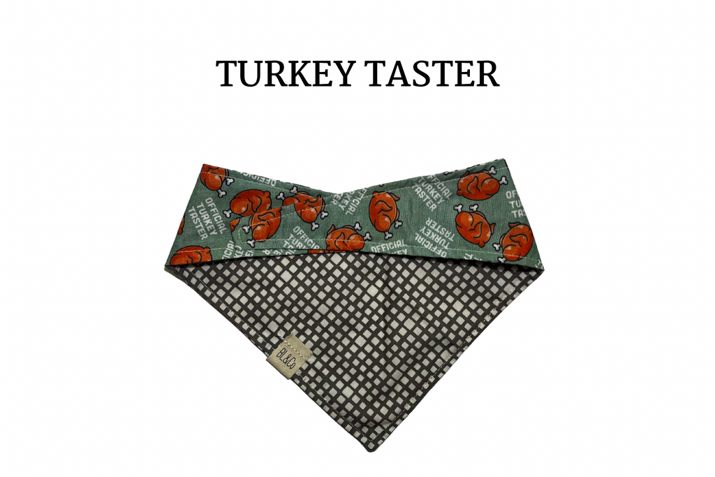 Thanksgiving Day Reversible Tie/On Bandana [Turkey Taster]