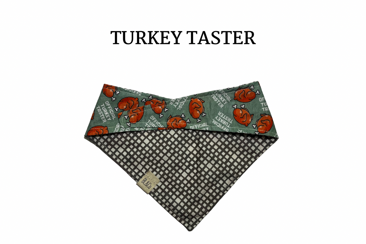 Thanksgiving Day Reversible Tie/On Bandana [Turkey Taster]