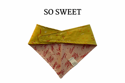 Love Sayings & Mustard with specs Reversible Tie/On Bandana